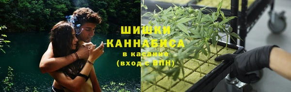 МДПВ Мегион