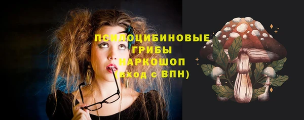индика Грязовец