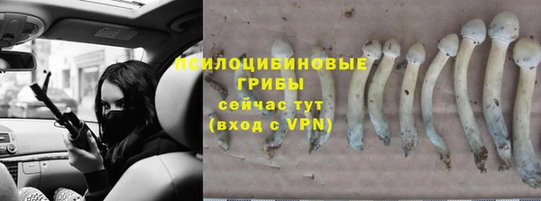 МДПВ Мегион