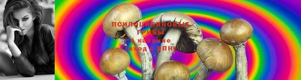 спиды Медвежьегорск