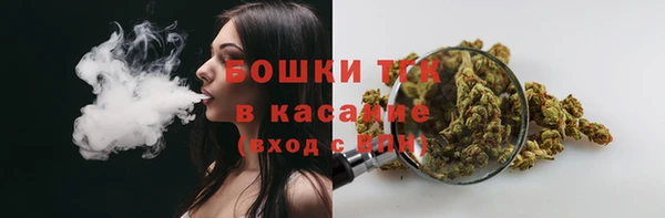 гидра Медногорск