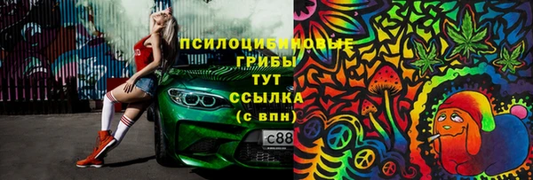 МДПВ Мегион
