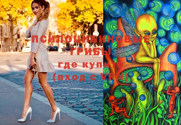 спиды Медвежьегорск