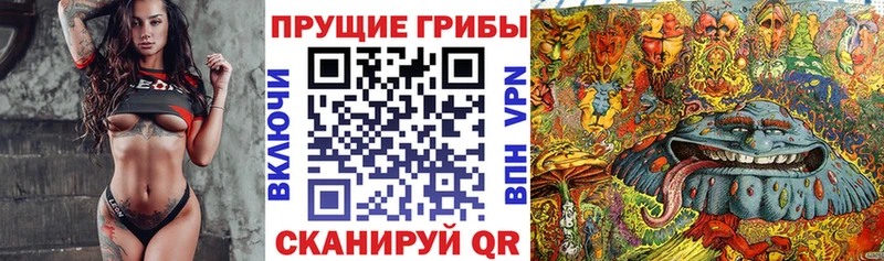 купить наркотики цена  Нея  Галлюциногенные грибы ЛСД 